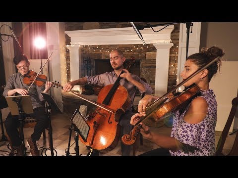 Borodin - String Quartet No. 2: Nocturne (Dover Quartet)