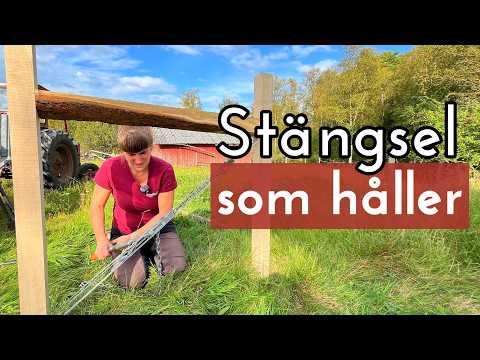 Hur du bygger stabila avslut för elstängsel - H-brygga/H-stag av ekstolpar