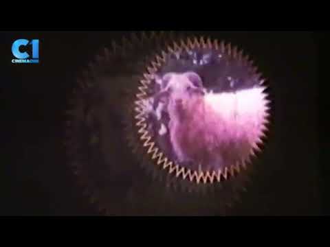 Lea Productions logo (1987)