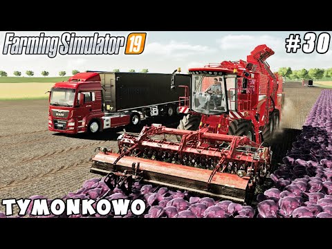 Selling & buying horses, new vehicles, harvesting red cabbage | Tymonkowo | FS 19 | Timelapse #30