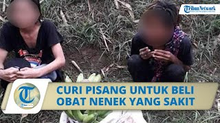 Viral Kisah 2 Pemuda di Brebes Curi Pisang untuk Beli Obat Nenek yang Sakit, Begini Nasib Pelaku