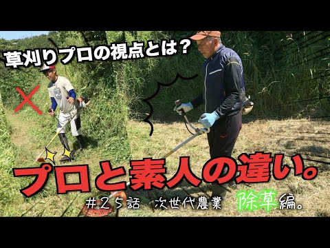 なぜ3月に草刈りをしないのか？冬が終わってから初めて行うのはいつですか？少し待ってからの3つのメリット！  庭園