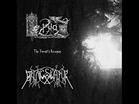 Heilnoz/Drengskapur - The Forest's Arcanum (Split 2015)