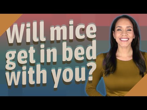 Will mice get in bed with you?