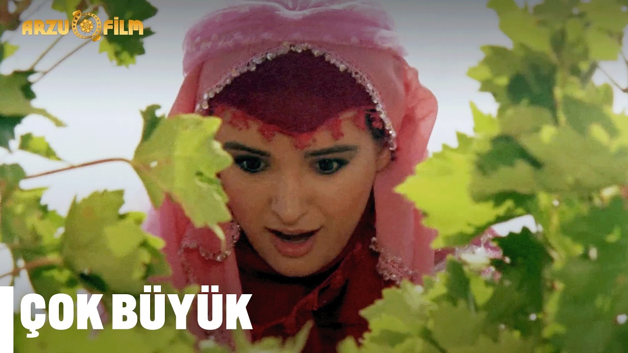 Büyükmüş Feyzom - Kibar Feyzo