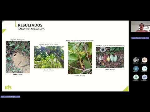 Representación de los impactos ambientales del cultivo de cacao en El Carmen de Chucurí, Colombia.
