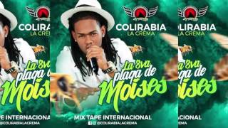 Video La 8va Plaga de Moises (Audio) de Coli Rabia La Crema