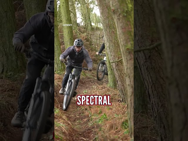 choose my bicycle mtb