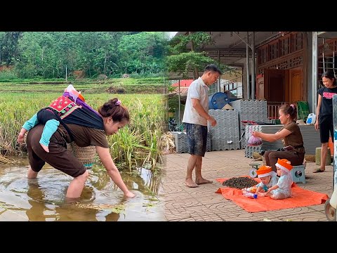 Single mom - Harvesting field snails in the wild to sell, raising 2 small children,life is difficult