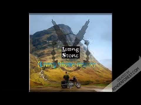 Akshar Aahut Martin Garrix-Forever(Livng Stone Remix)