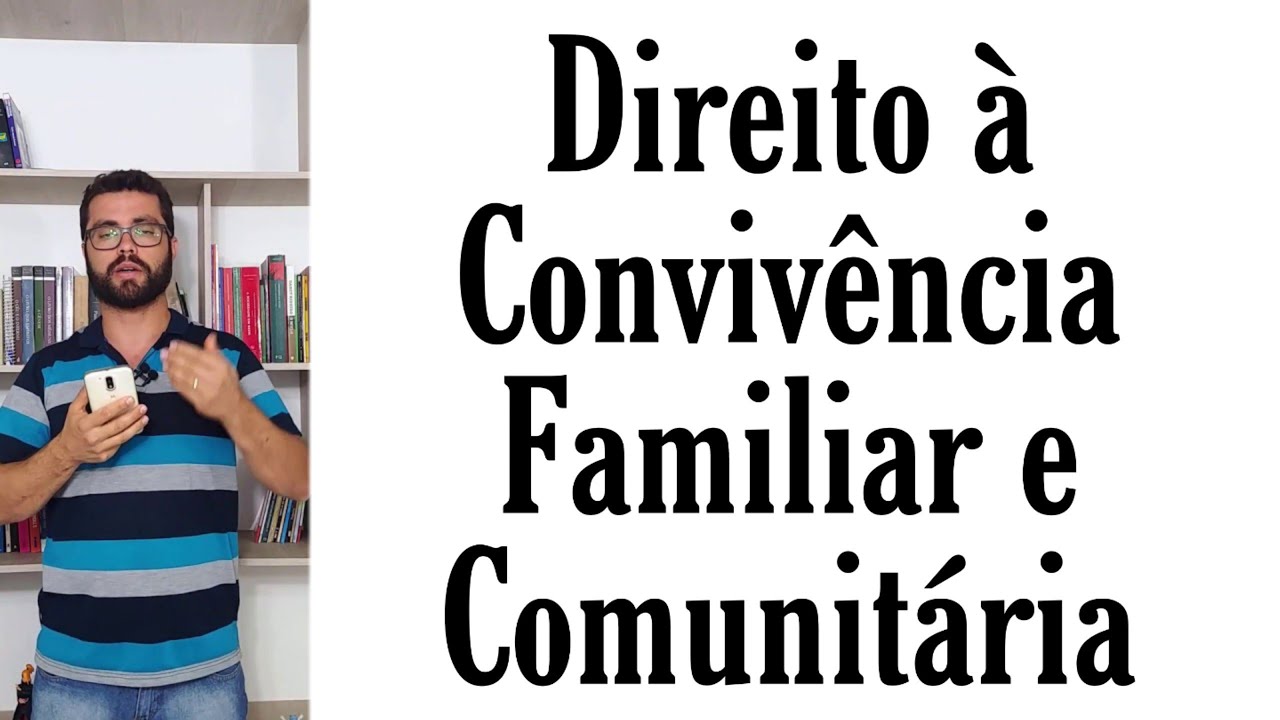 Direito à Convivência Familiar e Comunitária: Explicada Artigo a Artigo - Atualizada - ECA