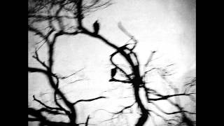 Sad Lovers and Giants - In Flux