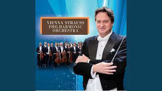 Musik-Video-Miniaturansicht zu The Blue Danube Waltz / Donauwalzer, Op. 314 Songtext von Vienna Strauss Philharmonic Orchestra