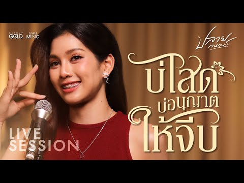 [Live Session] บ่โสดบ่อนุญาตให้จีบ - ปลาย กนกพร