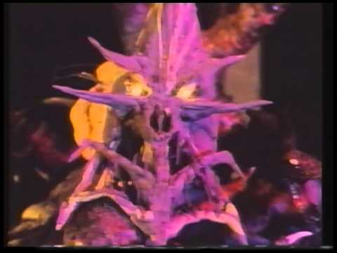 Showreel 88 - Nemesis the Warlock