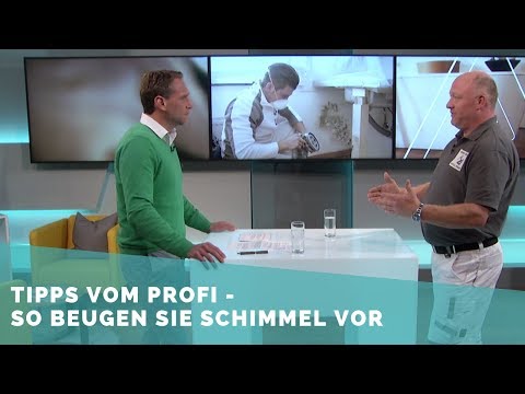 Preventing and removing mold in the home: Expert tips - What helps against mold