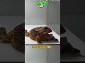 An insect releases gas