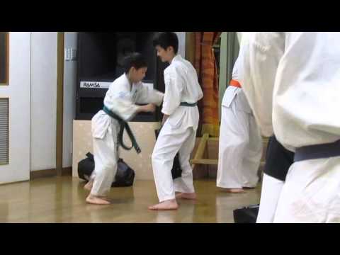 ミット稽古（突きの乱打戦の中で使うインロー）