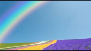 Pianissimo II - Beautiful Relaxing Piano Instrumental Music Album