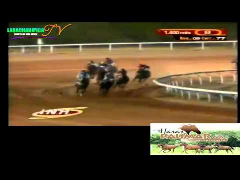 SANTA RITA 8 CARRERA VIERNES 28 DE MARZO DEL 2014