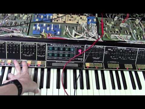 David's Polymoog Restoration (video# 5)