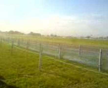 Lincolnshire Poacher07