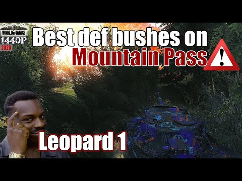Leopard 1: Best defense bushes on Mountain Pass