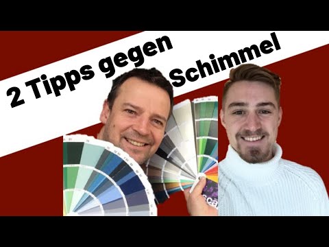 Schimmel in der Wohnung? Diese Tipps verhindern Schimmel! TÜV Sachverständiger Holm Draber