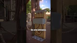 Download lagu Let's tour Safaripark #BeekseBergen in #PlanetZoo! (part 8) mp3