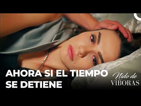 ¿Conoces La Historia de Nido De Víboras? - Nido De Víboras