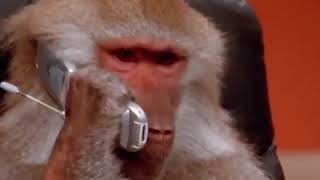 Download lagu Viva.video(8) mp3 Download lagu Viva.video(8) mp3