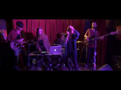 Norell & The Dub Factory - Live