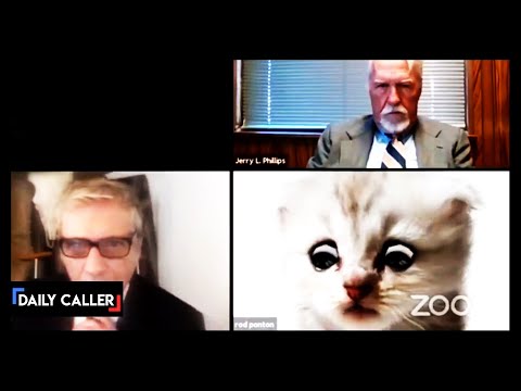 "I'm Not A Cat": Lawyer Accidentally Uses Cat Filter In Zoom Court