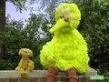Sesame Street BigBird Zoe Same Different
