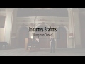 J.Brahms Hungarian Dance No.5 Pan flute and Organ