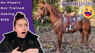 CRAIGSLIST HORSE ADS: $15,000 Companion Horse
