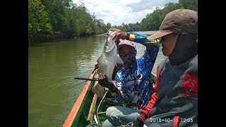 preview picture of video 'Mancing di muara berburu kakap/barramundi(langadai kotabaru)'