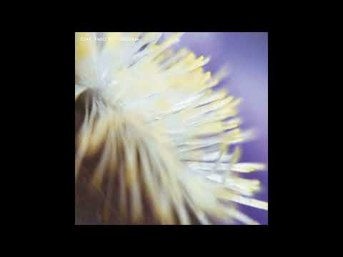 Dimi Angelis — Metavoid [NECH034]