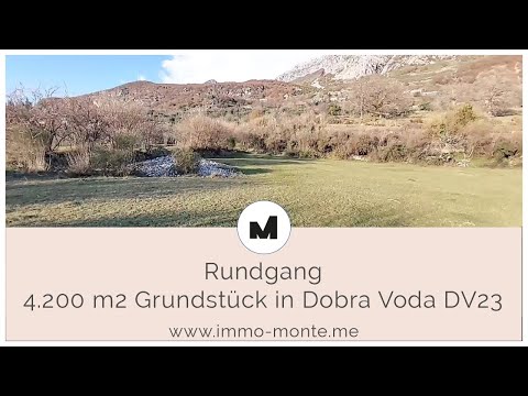 Immo Monte - Grundstück 4.200 m² mit alten Olivenbäumen DV23 - Rundgang