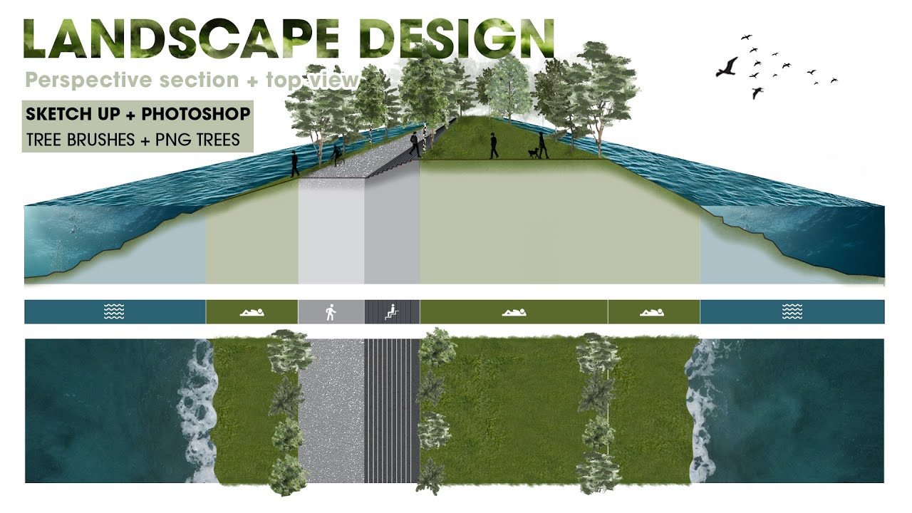 How to create a LANDSCAPE DESIGN PERSPECTIVE SECTION + TOP VIEW + VIDEO ANIMATION #archibicc