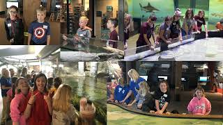North Linn Video