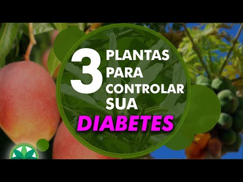 3 plants to help control your diabetes