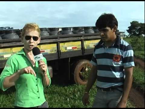 MILK DELIVERY IN CANS WITH THE DAYS COUNTED