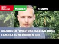 Bijzonder 'wild' vastgelegd door camera in verboden bos [RTV Utrecht]