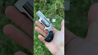 Download lagu Sentinel .22 Magnum mp3 Download lagu Sentinel .22 Magnum mp3