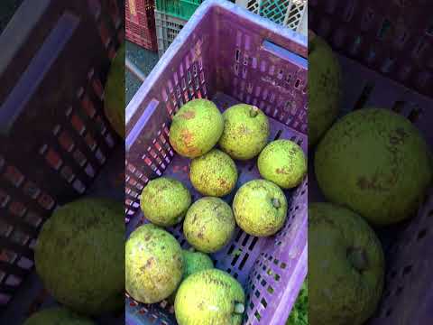 Feira livre Vitória de Santo Antão PE