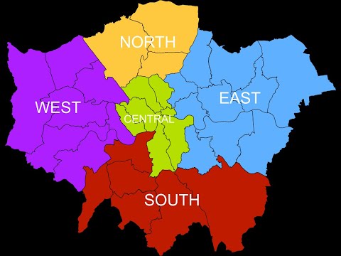 WIley & Dogzilla Rinse FM