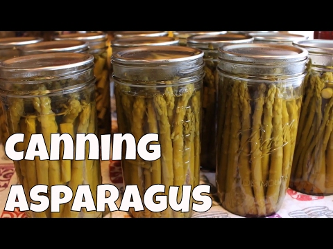 download lagu mp3 mp4 How Do You Can Asparagus, download lagu How Do You Can Asparagus gratis, unduh video klip How Do You Can Asparagus