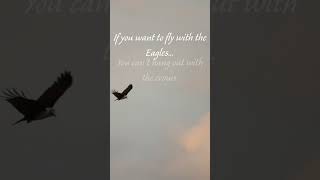 Courage to Fly like an Eagle 🦅Motivational Adventure #courage #motivationalstory #shorts #eagle #fly