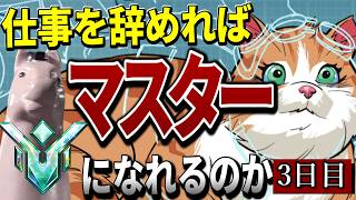 【OW2】【検証】仕事を辞めればマスターへ上がれるのか 3日目【進化】